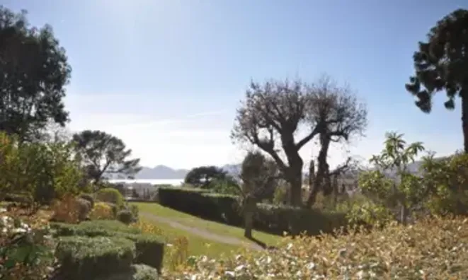 Недвижимость Villa Cannes Californie: 2