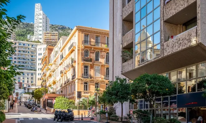 Недвижимость Apartment Monaco, Condamine: 20
