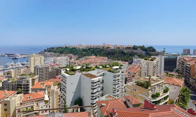 Недвижимость Apartment Monaco, Moneghetti: 1
