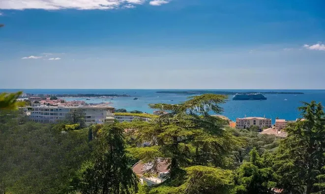 Недвижимость Estate Cannes Californie: 35