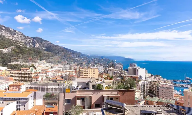 Недвижимость Apartment Monaco, Jardin Exotique: 11