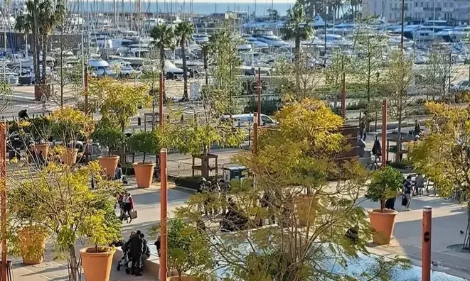 Недвижимость House Cannes Centre-ville: 2