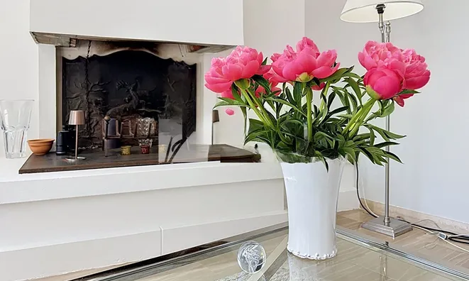 Недвижимость Villa Mandelieu Minelle: 15