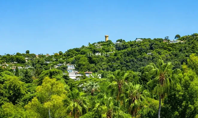 Недвижимость Villa Cannes: 5