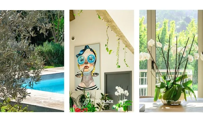 Недвижимость Villa Vallauris: 14