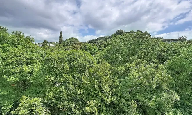 Недвижимость Villa Cannes: 14