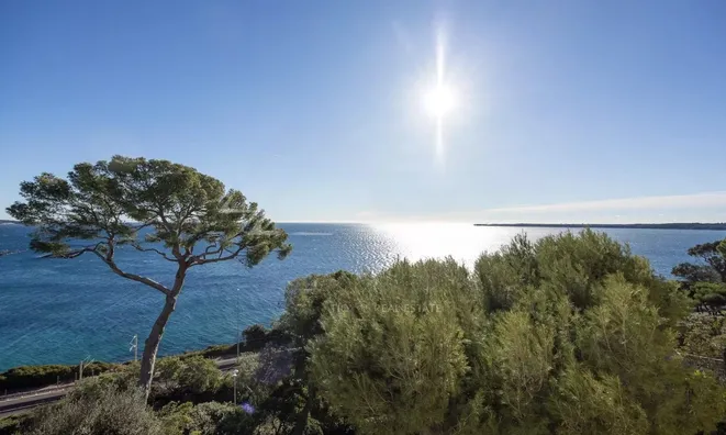 Недвижимость Villa Cannes Californie: 3