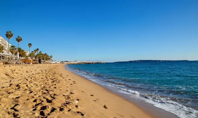 Недвижимость Villa Cannes: 24