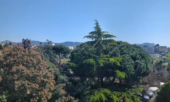 Недвижимость Villa Cannes Croix des Gardes: 2