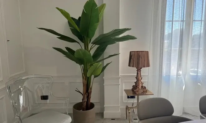 Недвижимость Villa Croix des Gardes: 5