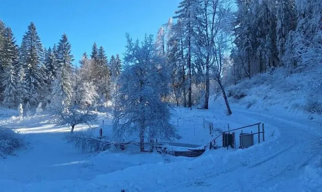 Недвижимость Estate, farm on the mountain.: 18