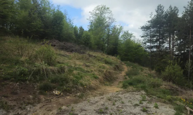 Недвижимость Земельный участок, Малый Липоглав: 2