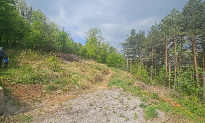 Недвижимость Земельный участок, Малый Липоглав: 5