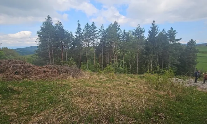 Недвижимость Земельный участок, Малый Липоглав: 6