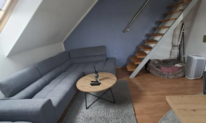 Недвижимость Apartment, 3 rooms Vishkovtsy: 6