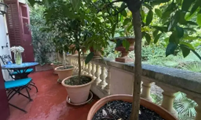 Недвижимость Villa California Cannes: 2