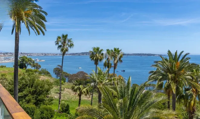 Недвижимость Villa Cannes: 12