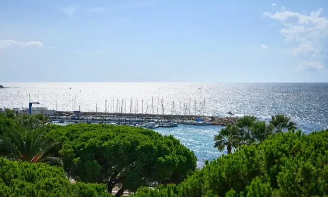 Недвижимость Apartment Pointe Croisette: 17
