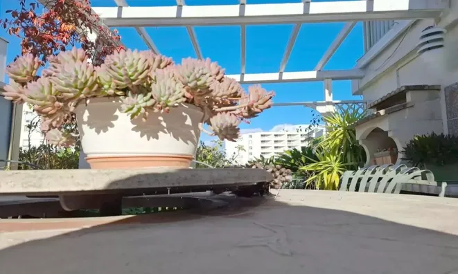 Недвижимость Villa Cannes Mandelieu: 21