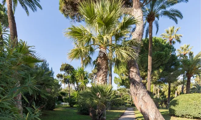 Недвижимость Apartment Cannes: 11