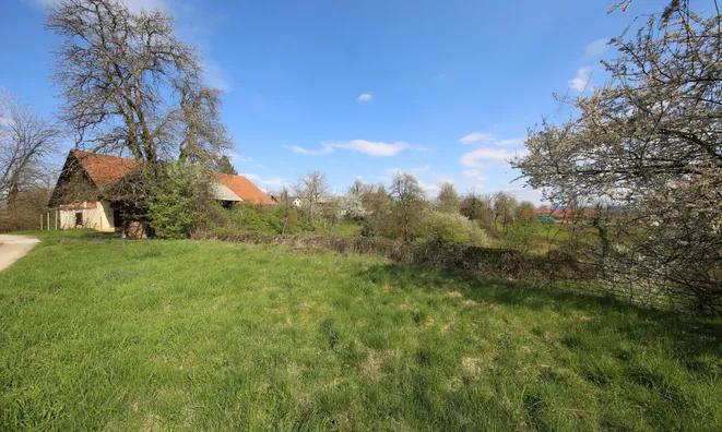 Недвижимость Estate, Shantwick Farm at Istechne.: 10