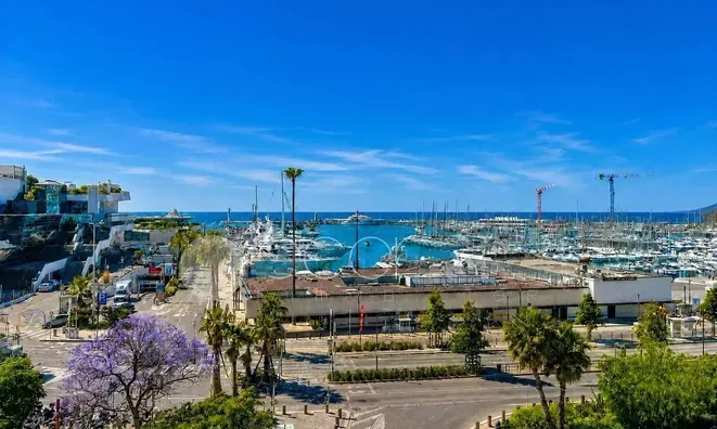 Недвижимость Villa Cannes Centre-ville: 2