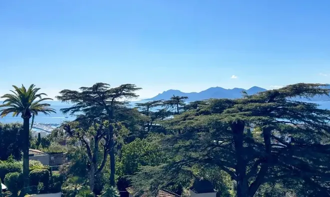 Недвижимость Villa Cannes: 1