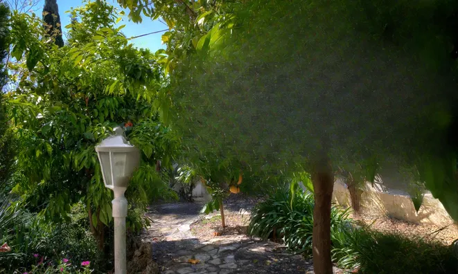 Недвижимость Villa Mougins: 6