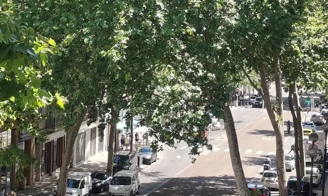 Недвижимость Villa Carnot Cannes: 18