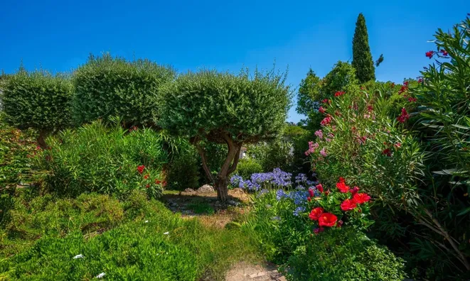 Недвижимость Villa Cannes Californie: 18