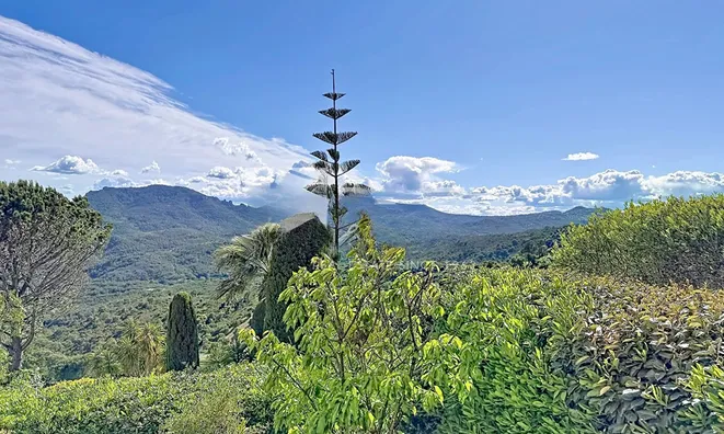 Недвижимость Villa Cannes Mandelieu: 14