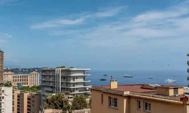 Недвижимость Apartment Monaco, La Rousse: 1