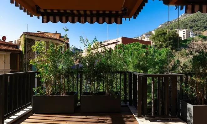 Недвижимость Apartment Monaco, La Rousse: 10
