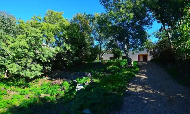 Недвижимость Villa Cannes Croix des Gardes: 23