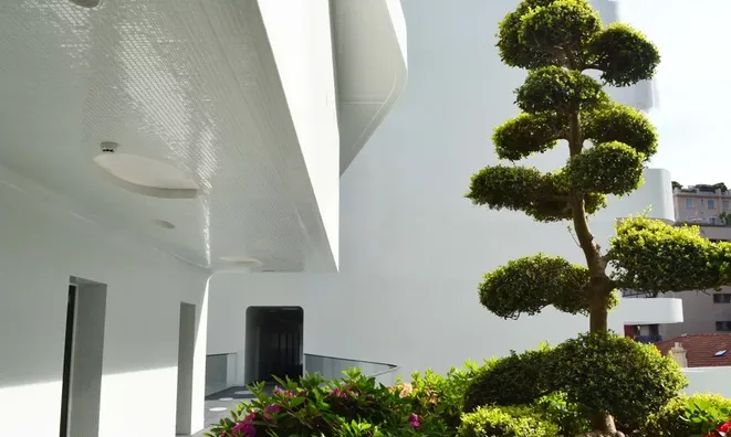 Недвижимость Apartment Monaco, Condamine: 10