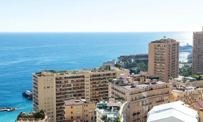 Недвижимость Apartment Monaco, La Rousse: 1