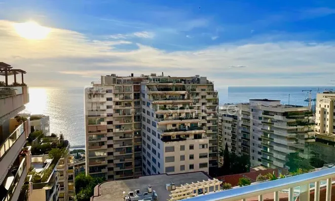 Недвижимость Apartment Monaco, La Rousse: 1