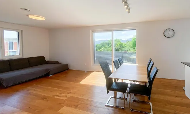 Недвижимость Apartment, 5 rooms, Trnovo: 10