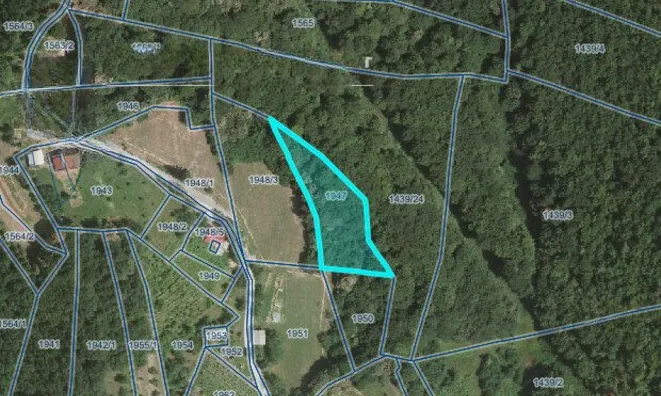 Недвижимость Krizh Estate and Farm in Vrhe, JC 1390: 5
