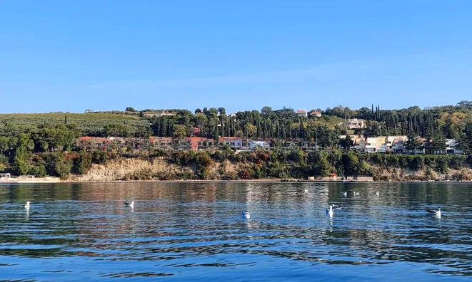 Недвижимость Three-room apartment Paradise Pier: 1