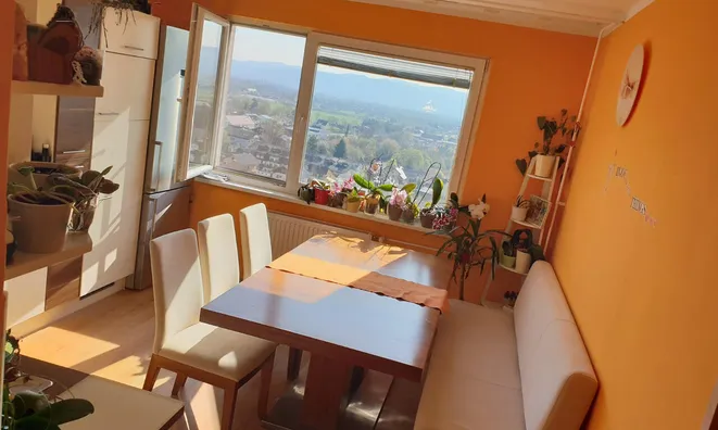 Недвижимость Apartment in Novo-Sheptyanetsky: 1