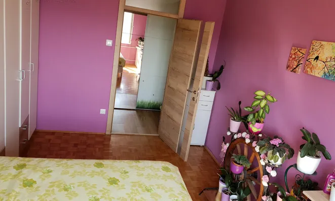 Недвижимость Apartment in Novo-Sheptyanetsky: 11