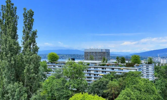 Недвижимость Apartment 3.5 rooms: 3