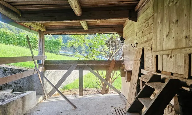 Недвижимость The 'Veshina' estate in a quiet sunny location: 6