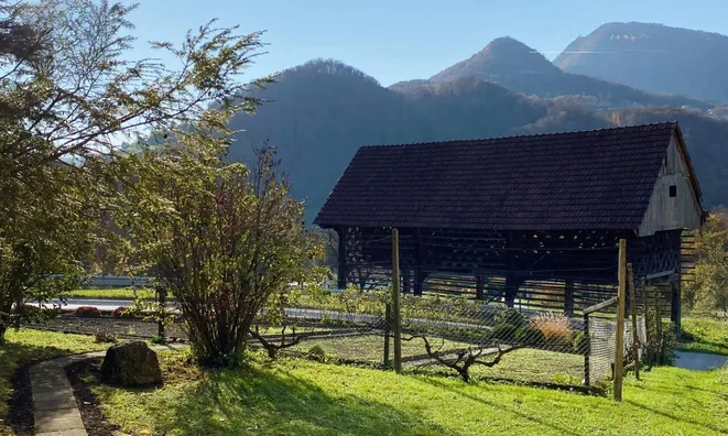 Недвижимость The 'Veshina' estate in a quiet sunny location: 7