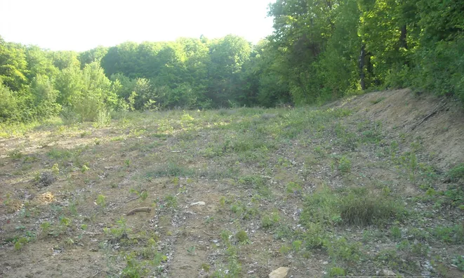 Недвижимость Doblezhiche Estate and Farm: 1