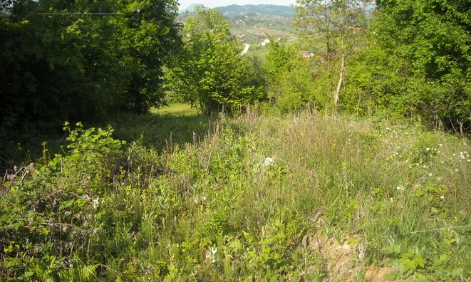 Недвижимость Doblezhiche Estate and Farm: 2