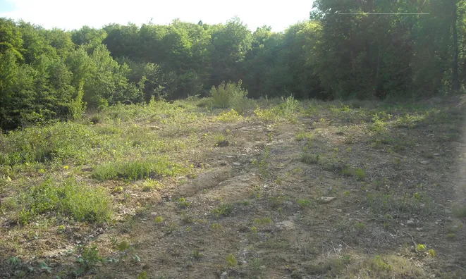 Недвижимость Doblezhiche Estate and Farm: 3