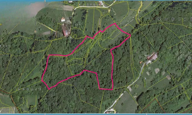 Недвижимость Doblezhiche Estate and Farm: 7