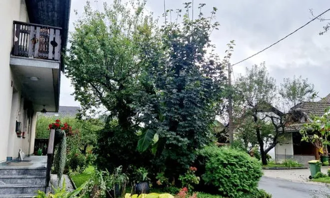 Недвижимость Manor 'Nizhnyaya Dobrava': 7